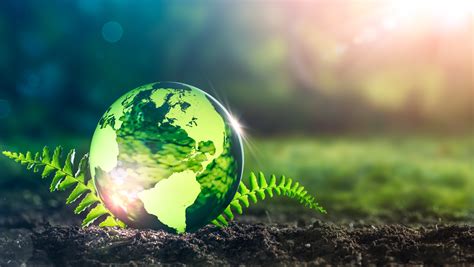 Immagine che rappresenta la salvaguardia dell'ambiente