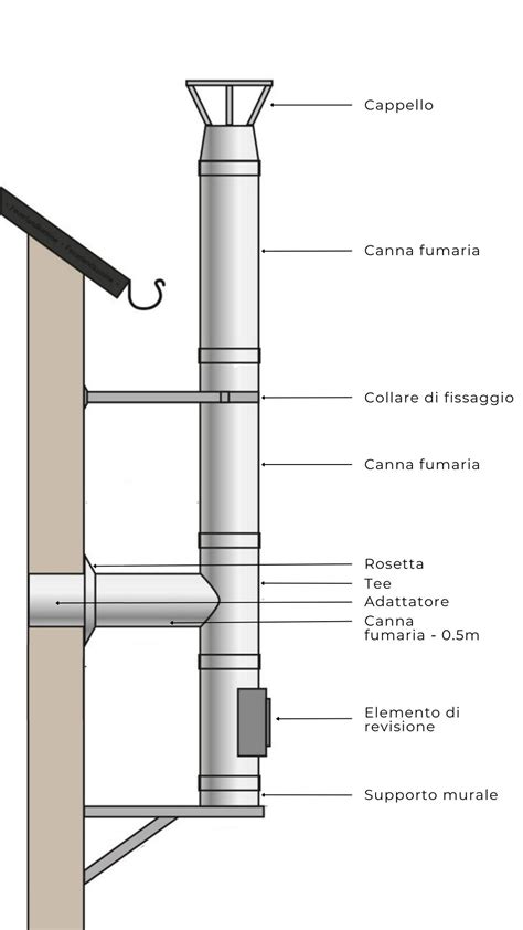 Canna ibrida e i suoi componenti