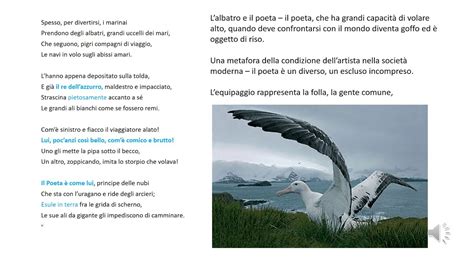 raffigurazione simbolica dell'albatro di Baudelaire