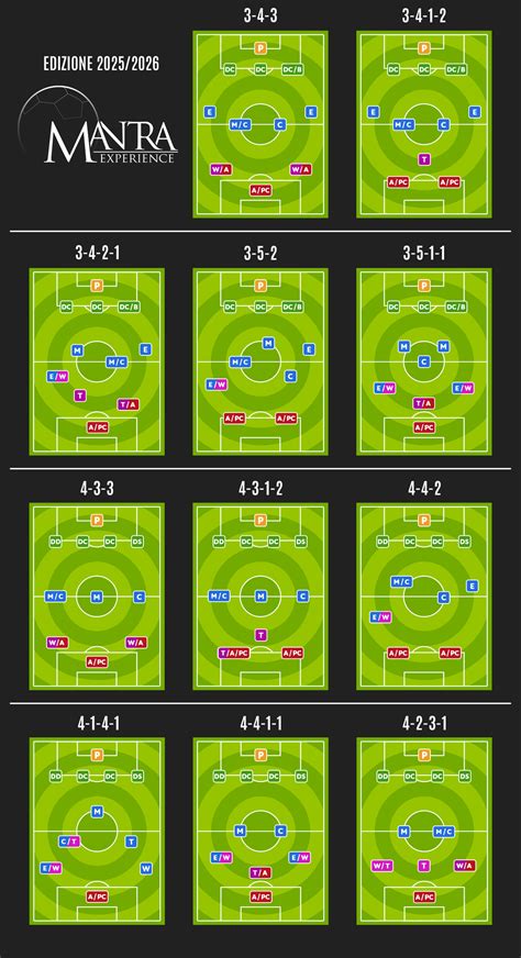 Infografica ruoli servicer