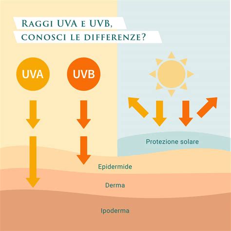 Raggi UV bloccati da vetri oscurati