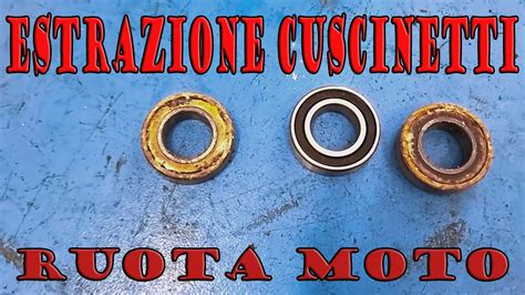 cuscinetto cardano moto