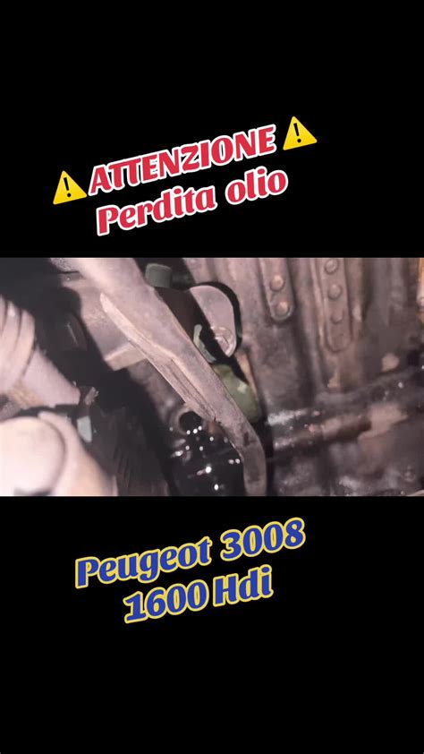 Perdita di olio dal motore auto