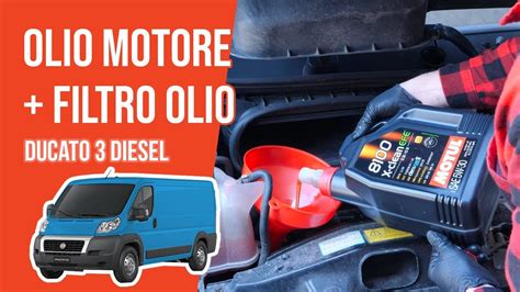 Motore Fiat Ducato Multijet con indicazione del filtro olio