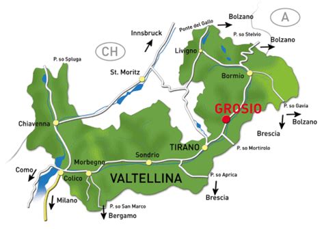 Mappa della Valtellina con le sedi di Autotorino e La Fiorida