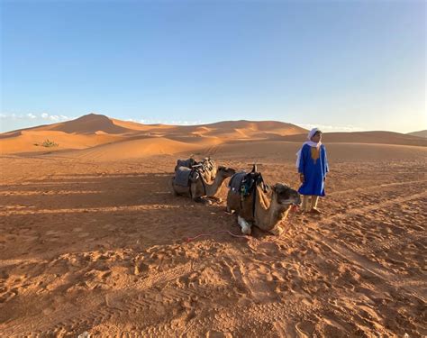 Confronto tra diversi veicoli 4x4 nel deserto