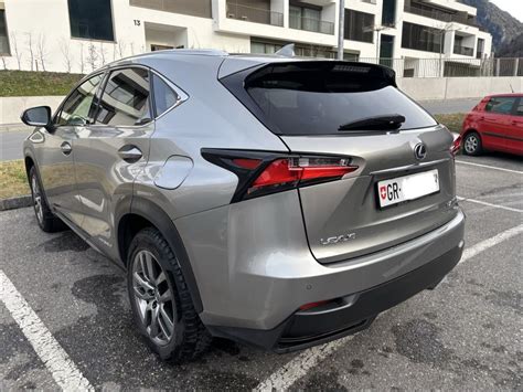 Dettaglio mascherina Lexus NX 300h