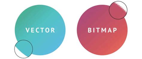 Differenza tra immagine vettoriale e bitmap