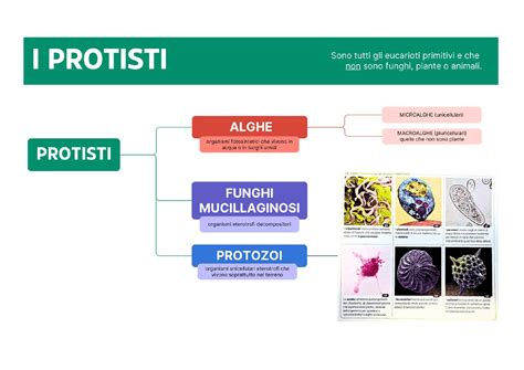 mappa concettuale dei laboratori di prova in Italia e Lombardia