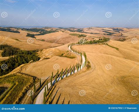 Vista panoramica della campagna toscana con campi di grano maturo.