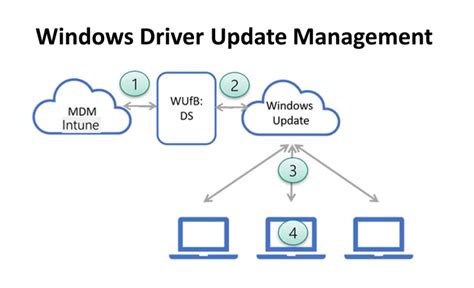 Driver update process infographic