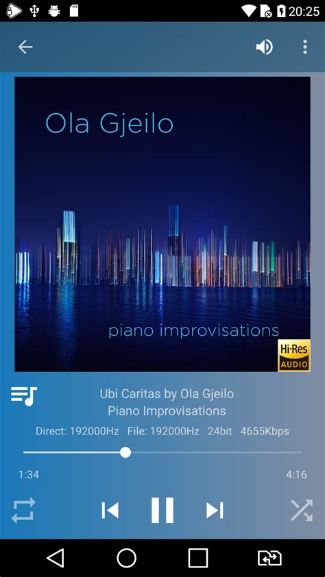 Screenshot dell'interfaccia di USB Audio Player Pro