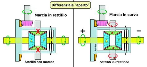differenziale auto schema