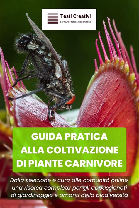 Comunità online di appassionati di piante