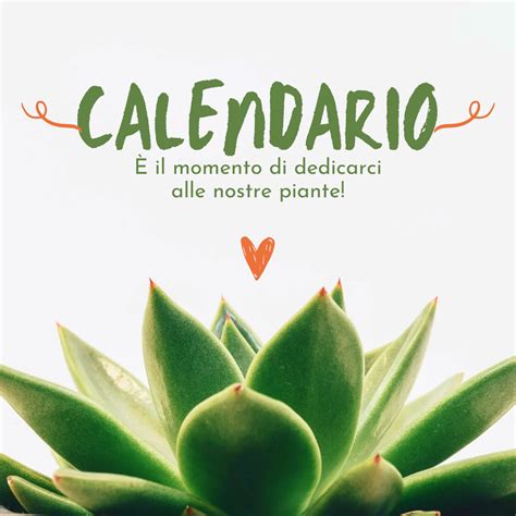 Calendario delle cure stagionali per gli Echinopsis