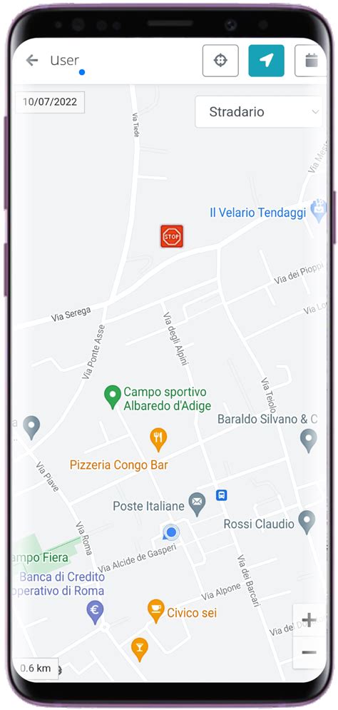 Mappa con posizione del veicolo e stato della carica