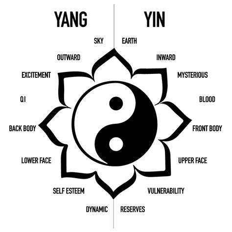Diagramma che illustra i principi dello Yin e Yang nel Tai Chi