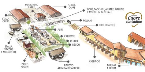 Esempio di fattoria didattica con bambini