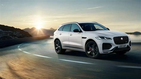 SUV Jaguar F-PACE con un animale domestico
