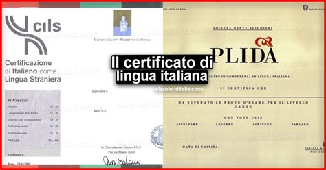 Certificato di lingua straniera