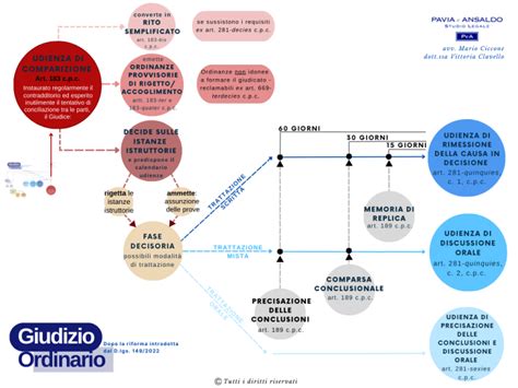 schema processo civile