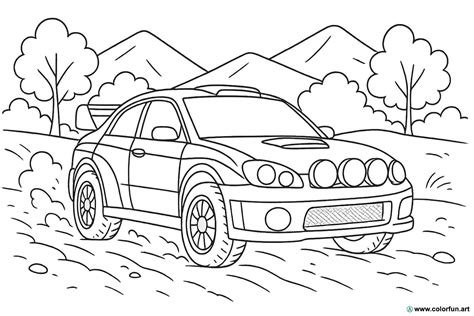 Auto da rally su un percorso sterrato