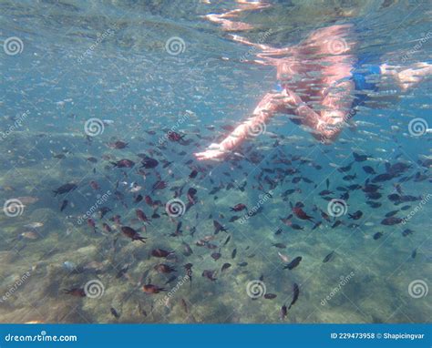Dave che pesca sott'acqua