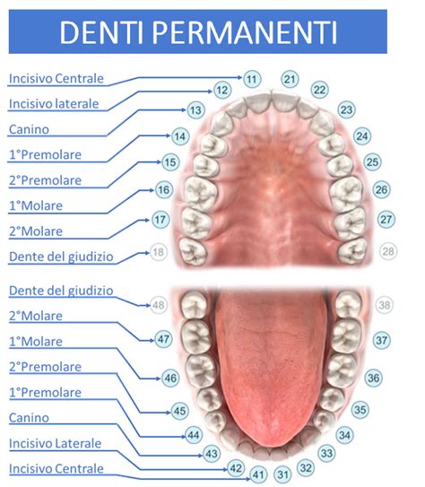 Immagine illustrativa dei danni ai denti causati dal vomito