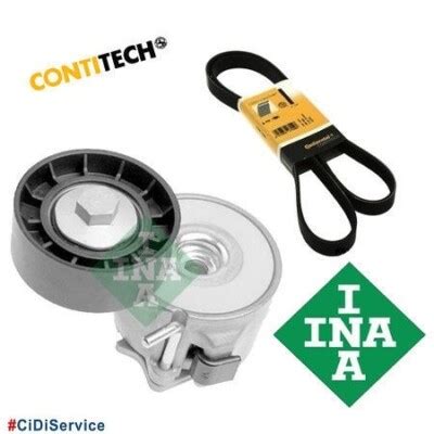 Kit cinghia servizi e tendicinghia