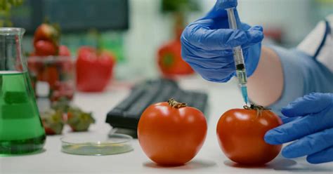 Danni alla cinghia da contaminazione chimica