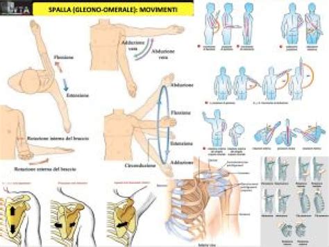 Controllo delle interferenze occlusali durante il movimento laterale