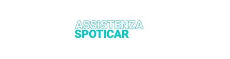 Logo della rete di assistenza ufficiale Fiat