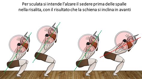 Illustrazione del meccanismo a doppio bilanciere di prima specie