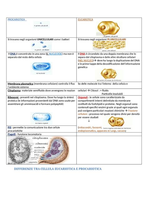 Differenze tra ASR ed ESP