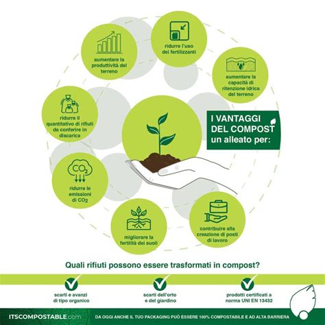 Infografica: i vantaggi ambientali dell'acquisto di ricambi usati