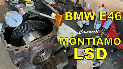 Schema del ponte posteriore BMW E46 con evidenziati i supporti in gomma