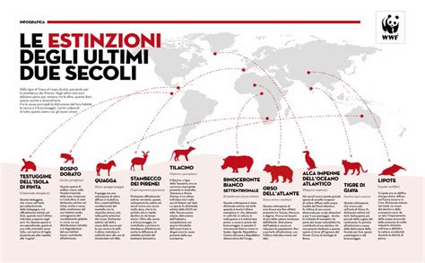 Schema che illustra i rischi delle tinture per animali