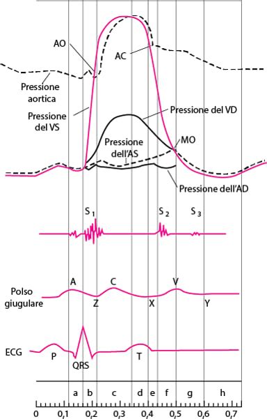 Diagramma che mostra la pressione nel compartimento muscolare
