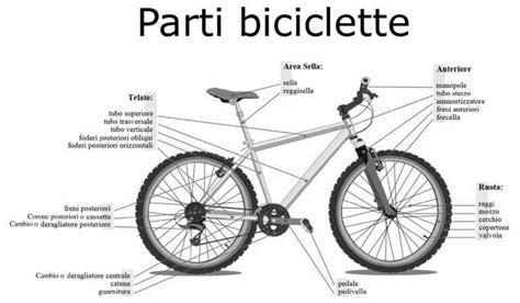 Tecnico specializzato che prepara una bicicletta