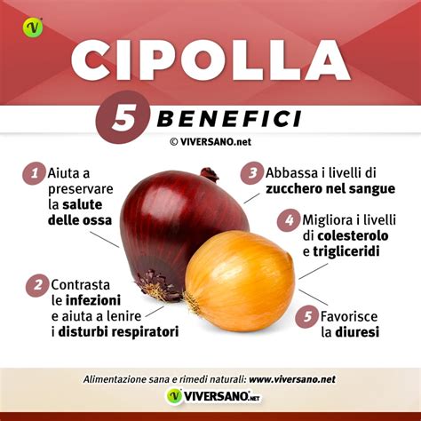 Infografica benefici cipolla