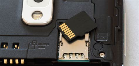Esemplare di scheda MicroSD e slot di espansione