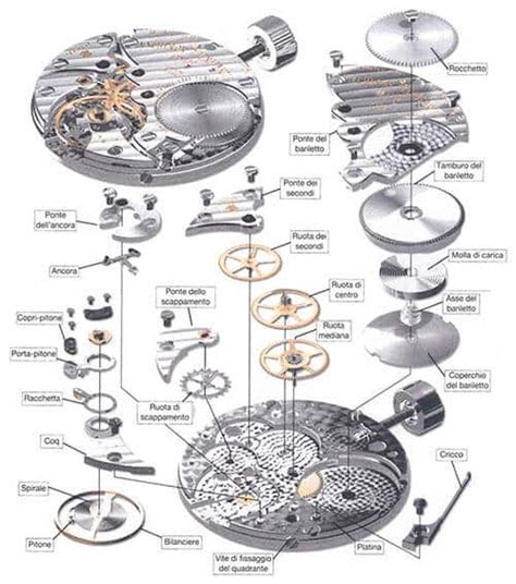 Illustrazione di un movimento meccanico di un orologio Rolex