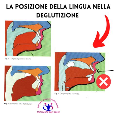 Diagramma della posizione della lingua per produrre il suono 
