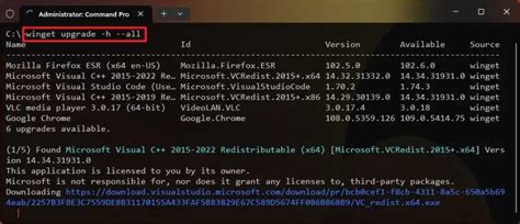 Comando Winget nel terminale di Windows