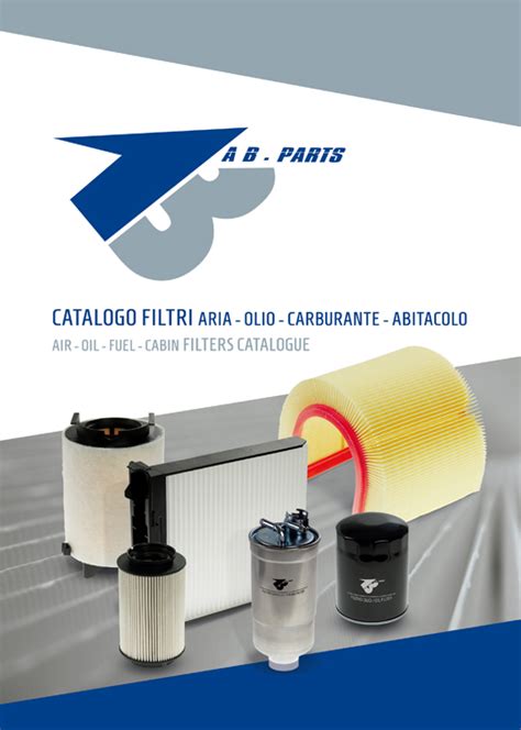 Infografica che mostra i filtri chiave in un'auto: aria, olio, carburante, FAP