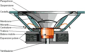 Componenti interni di un altoparlante, mostrando bobina e magnete