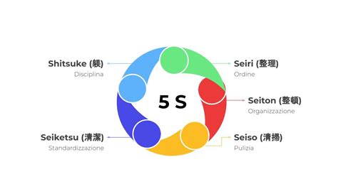 Infografica che riassume i concetti chiave delle 5S
