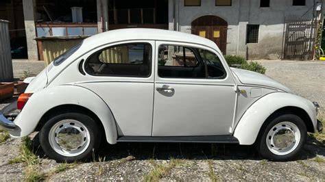 Collezione di Volkswagen Maggiolino di varie epoche