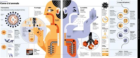 infografica che illustra le diverse componenti di un adesivo o sigillante ibrido