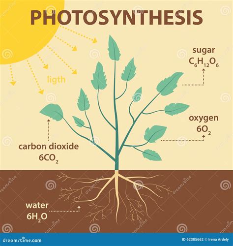 illustrazione schematica della fotosintesi artificiale
